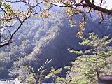 142-4252_IMG.JPG