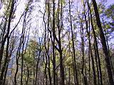 142-4258_IMG.JPG