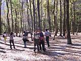 142-4259_IMG.JPG