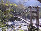 142-4281_IMG.JPG