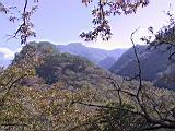 142-4283_IMG.JPG