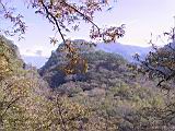 142-4284_IMG.JPG