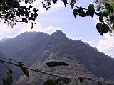 142-4285_IMG.JPG