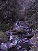143-4320_IMG.JPG