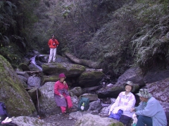143-4321_IMG.JPG