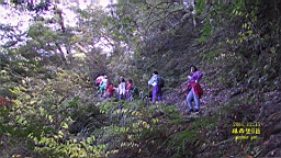 143-4323_IMG.JPG