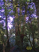 143-4329_IMG.JPG