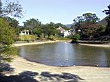 Img00056.JPG