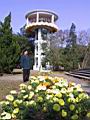 Img00000.JPG