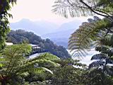 Img00053.JPG