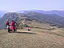 149-4949_IMG.JPG