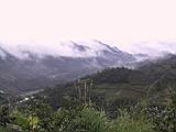 154-5495_IMG.JPG