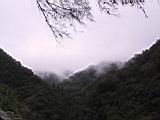 155-5535_IMG.JPG
