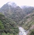 155-5539_IMG.JPG