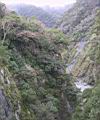 155-5541_IMG.JPG