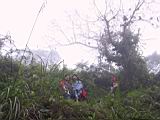 155-5547_IMG.JPG