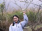 155-5551_IMG.JPG