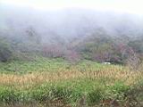 155-5553_IMG.JPG