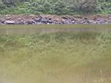155-5564_IMG.JPG