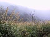 155-5568_IMG.JPG