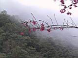 155-5570_IMG.JPG