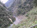 155-5593_IMG.JPG