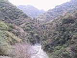 155-5595_IMG.JPG