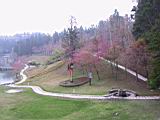 158-5853_IMG.JPG