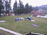 158-5854_IMG.JPG