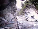 156-5662_IMG.JPG