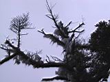 157-5766_IMG.JPG