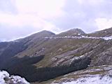 158-5815_IMG.JPG