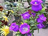 159-5978_IMG.JPG