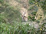 161-6148_IMG.JPG