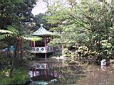 161-6173_IMG.JPG