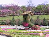 161-6182_IMG.JPG