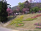 161-6190_IMG.JPG