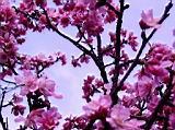 162-6202s_IMG.JPG