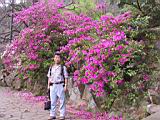 162-6219s_IMG.JPG
