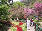 162-6237_IMG.JPG