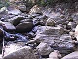 162-6280_IMG.JPG