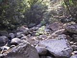 162-6281_IMG.JPG