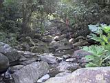 162-6284_IMG.JPG
