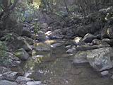 162-6285_IMG.JPG