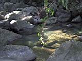 162-6286_IMG.JPG