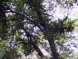 162-6288_IMG.JPG