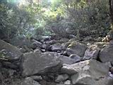 162-6289_IMG.JPG