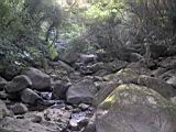 162-6292_IMG.JPG