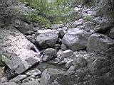 162-6294_IMG.JPG