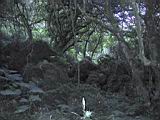 162-6295_IMG.JPG